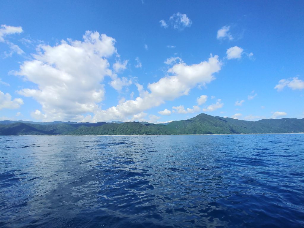 海から見た佐喜浜町